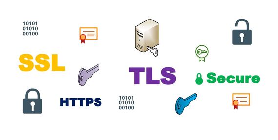 Типы SSL/TLS-сертификатов и кто их выдает